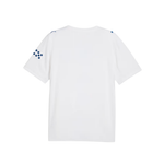 Manchester City 26/27 Third Kit Men Replica Jersey White 784352 06