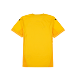 FAM Harimau Malaya Pre-match Men Training Jersey Yellow 949167 07