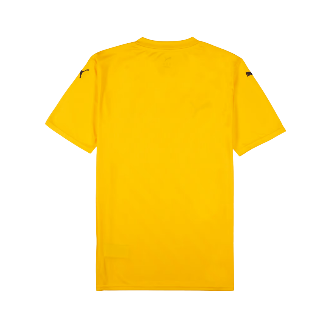 FAM Harimau Malaya Stadium Men Training Jersey Yellow 949168 07