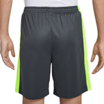 Nike Dri-Fit Academy Men's Short Grey