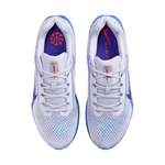 Nike Winflo 11 Men's Running Shoes Grey FJ9509-006