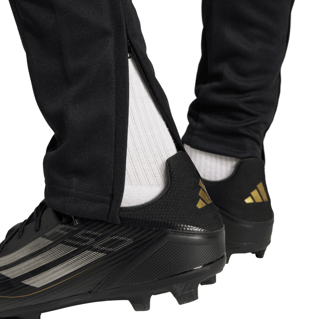 Squadra 25 Men's Training Pants JE2782