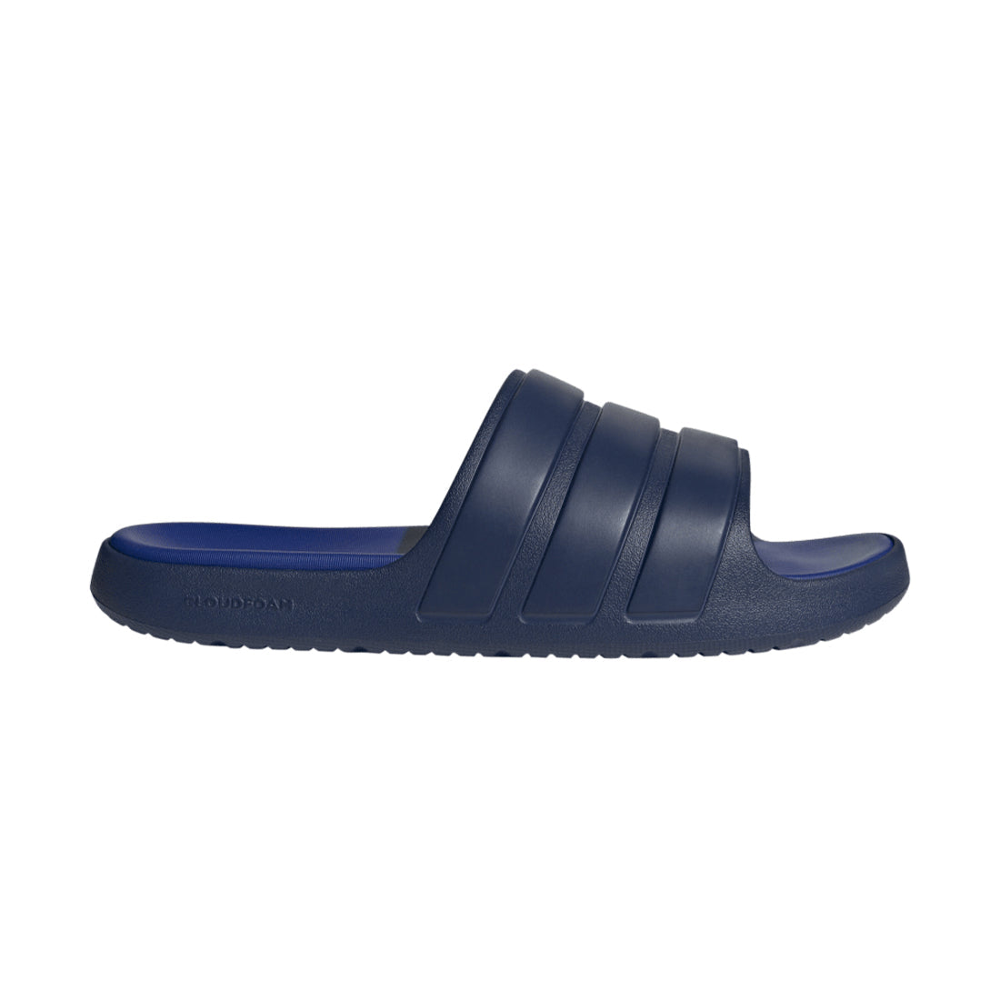 Znsory Slides BLUE