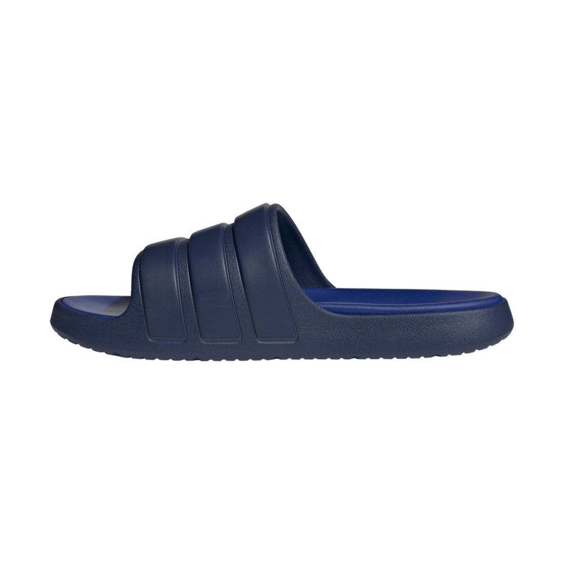 Znsory Slides BLUE