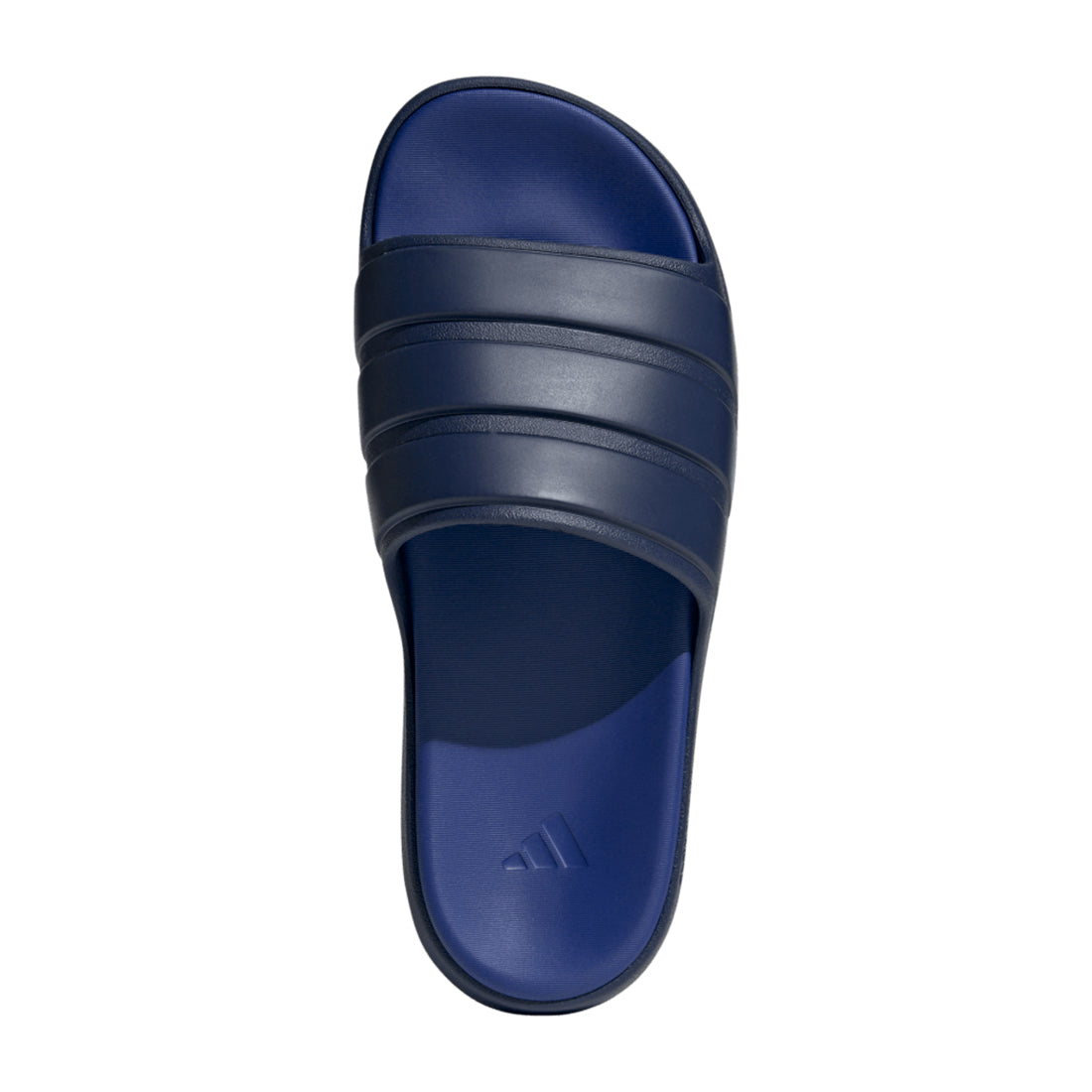 Znsory Slides BLUE