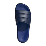 Znsory Slides BLUE