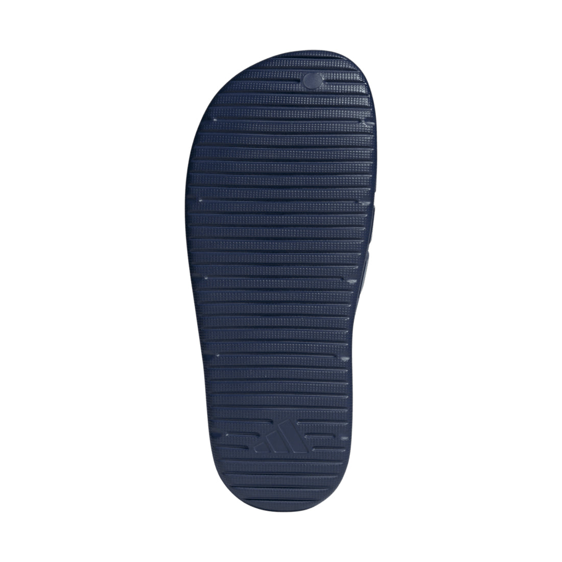 Znsory Slides BLUE