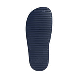 Znsory Slides BLUE