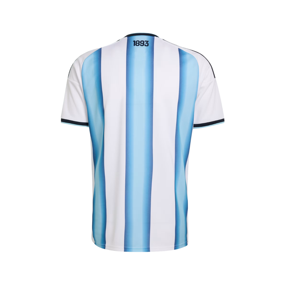 The back of a short-sleeve soccer jersey featuring vertical light blue and white stripes, with '1893' printed in black at the inner neckline.
