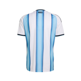 The back of a short-sleeve soccer jersey featuring vertical light blue and white stripes, with '1893' printed in black at the inner neckline.