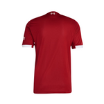 Liverpool FC 2025/2026 Home Adidas Men's Authentic Jersey Red JY4237