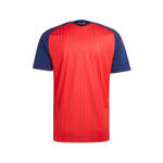 Spain 2026 Champion Home Men Replica Jersey Red KF4411
