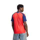 Spain 2026 Champion Home Men Replica Jersey Red KF4411